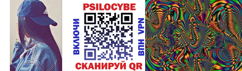 Галлюциногенные грибы Psilocybe  закладка  Топки 